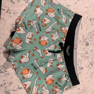 Chicken legs Men's Athletic Shorts - Mint Green "Silly Goose" Print
